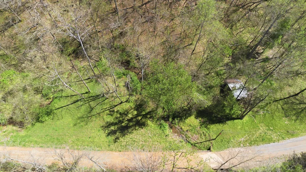 0 Opossum Hollow Rd Primm Springs, TN 38476