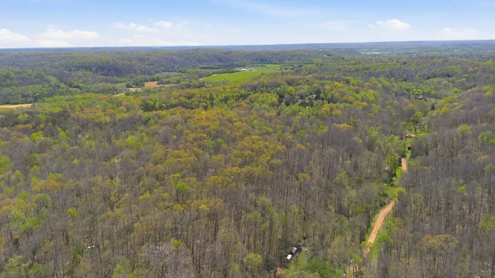 0 Opossum Hollow Rd Primm Springs, TN 38476
