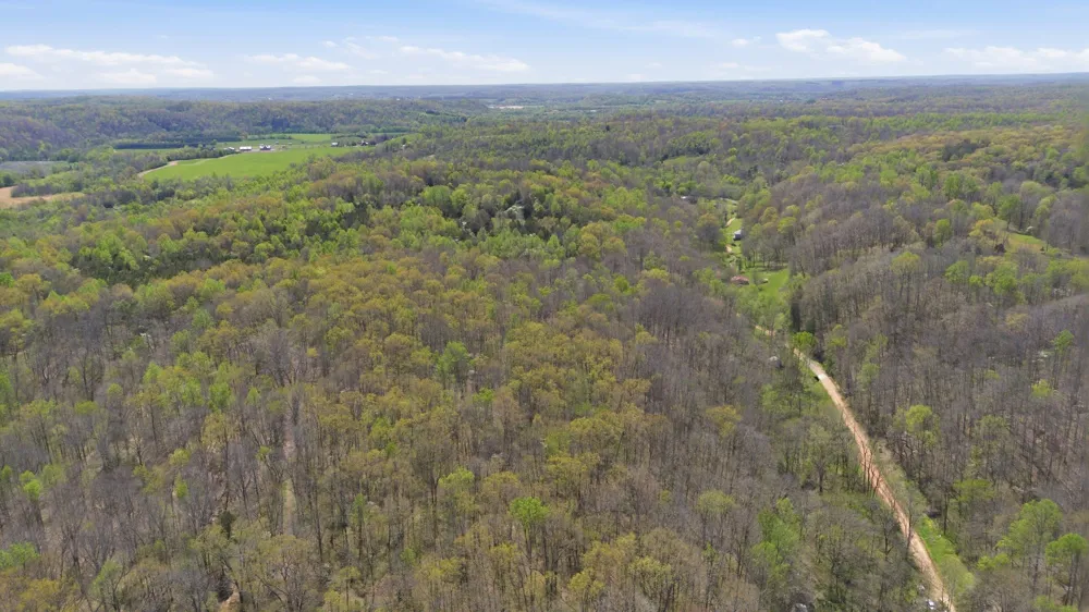 0 Opossum Hollow Rd Primm Springs, TN 38476