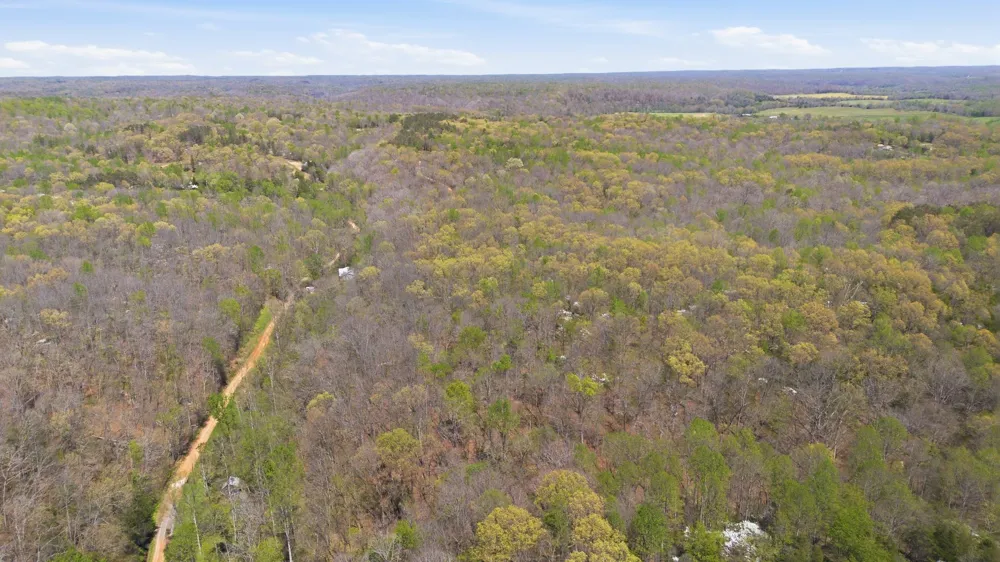 0 Opossum Hollow Rd Primm Springs, TN 38476