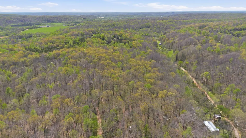 0 Opossum Hollow Rd Primm Springs, TN 38476