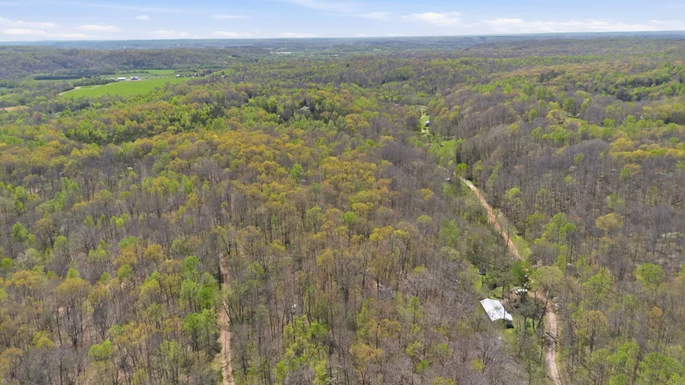 0 Opossum Hollow Rd Primm Springs, TN 38476