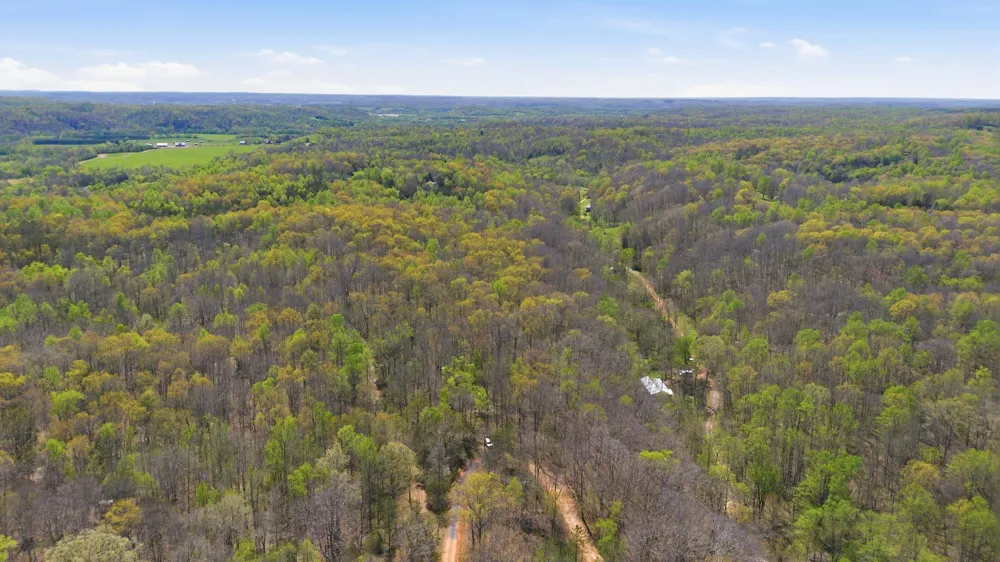 0 Opossum Hollow Rd Primm Springs, TN 38476