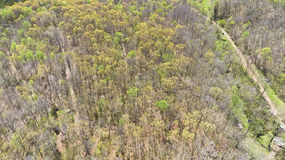 0 Opossum Hollow Rd Primm Springs, TN 38476