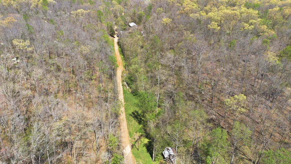 0 Opossum Hollow Rd Primm Springs, TN 38476