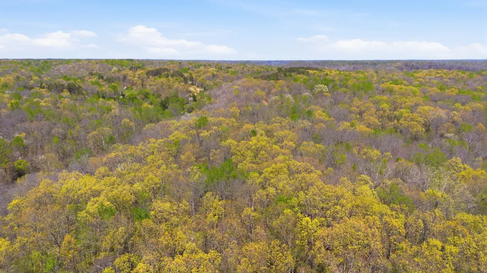0 Opossum Hollow Rd Primm Springs, TN 38476