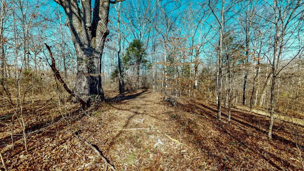 0 Opossum Hollow Rd Primm Springs, TN 38476