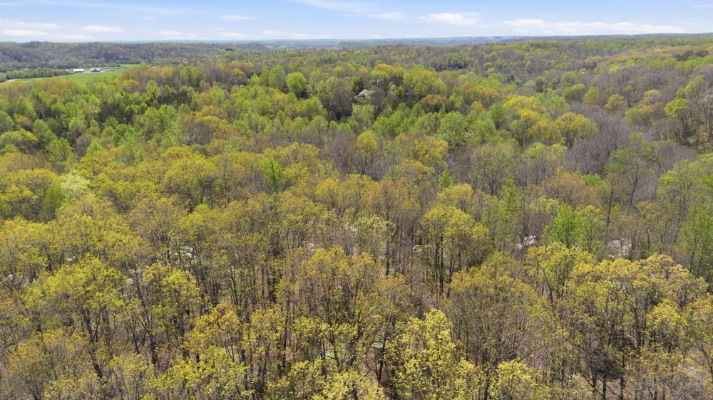 0 Opossum Hollow Rd Primm Springs, TN 38476