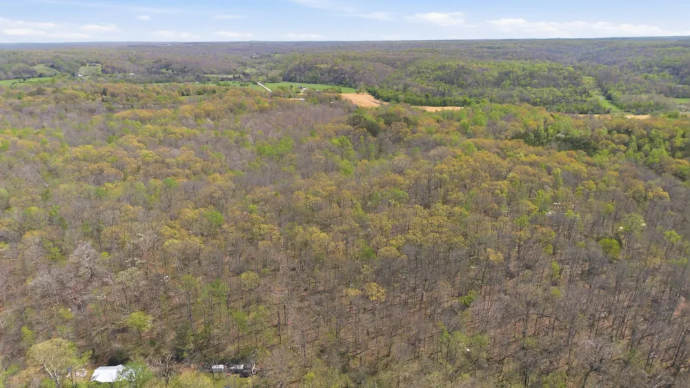 0 Opossum Hollow Rd Primm Springs, TN 38476