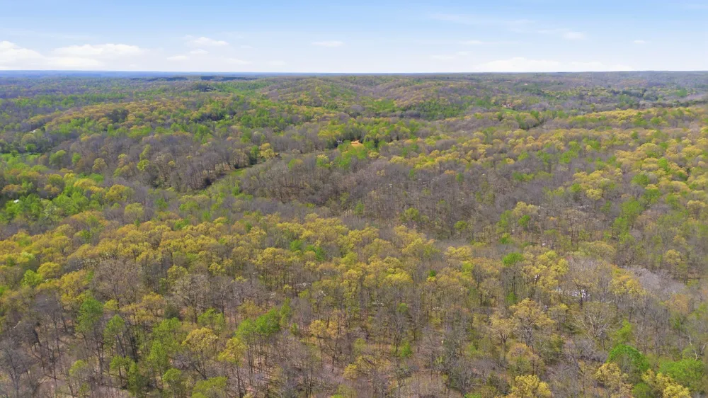 0 Opossum Hollow Rd Primm Springs, TN 38476