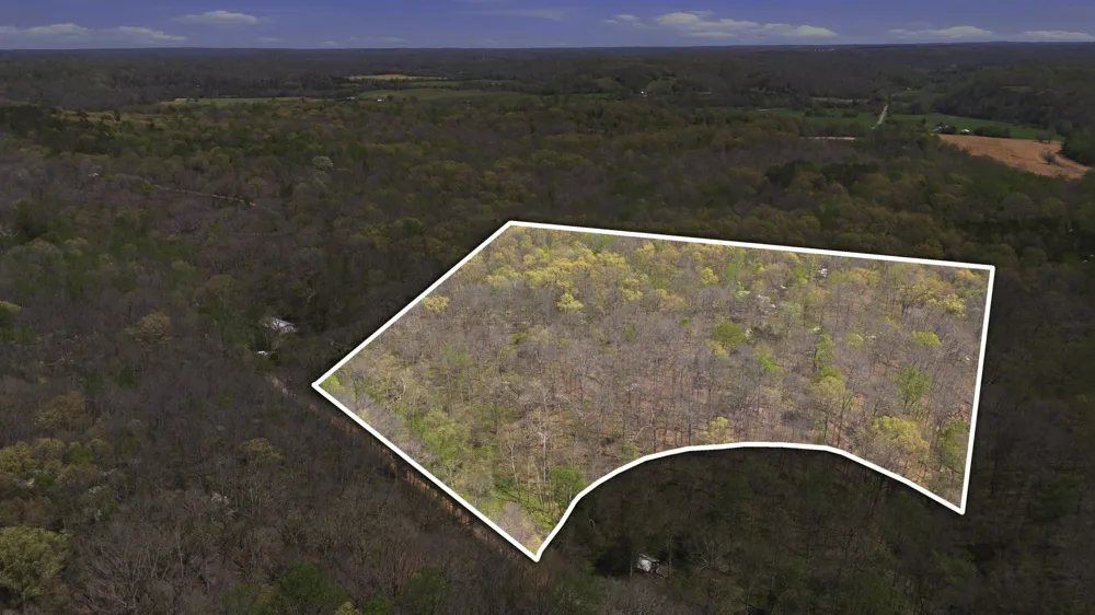 0 Opossum Hollow Rd Primm Springs, TN 38476