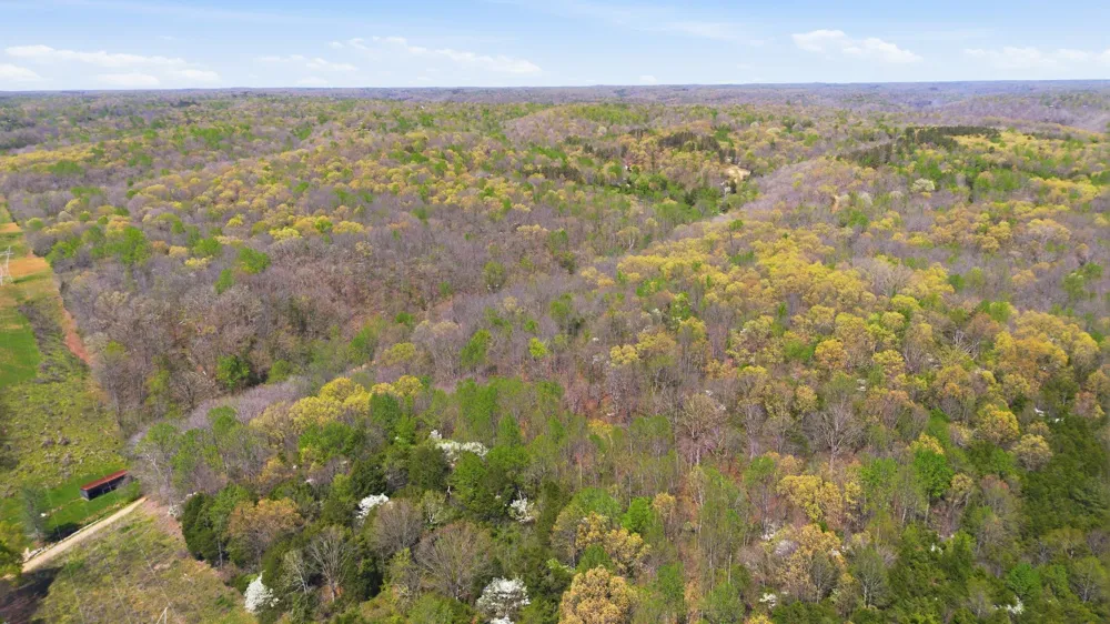 0 Opossum Hollow Rd Primm Springs, TN 38476