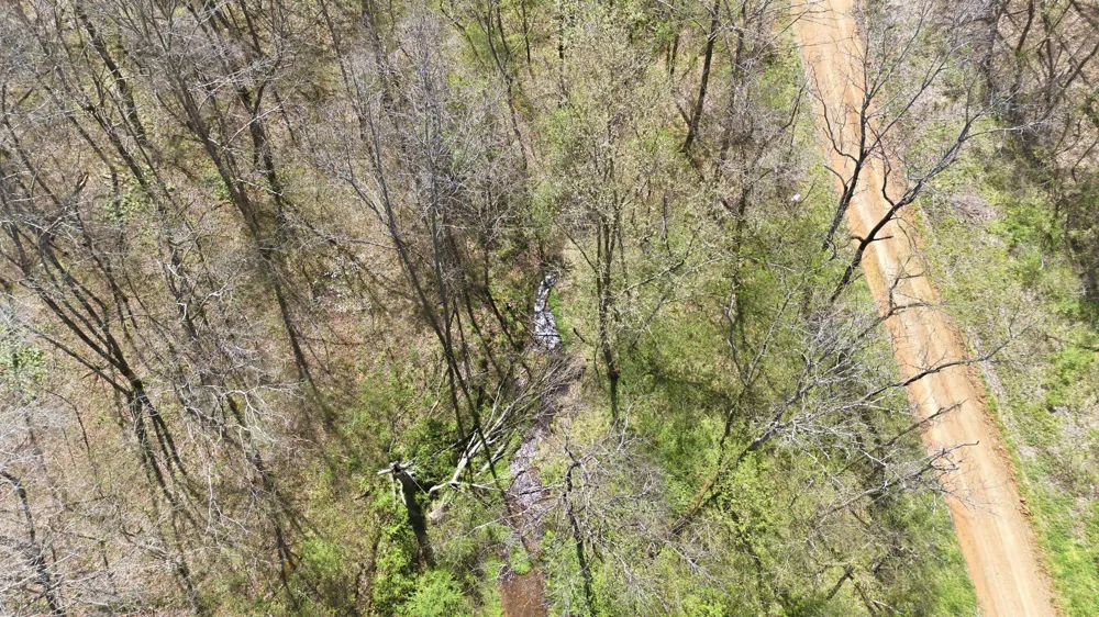 0 Opossum Hollow Rd Primm Springs, TN 38476