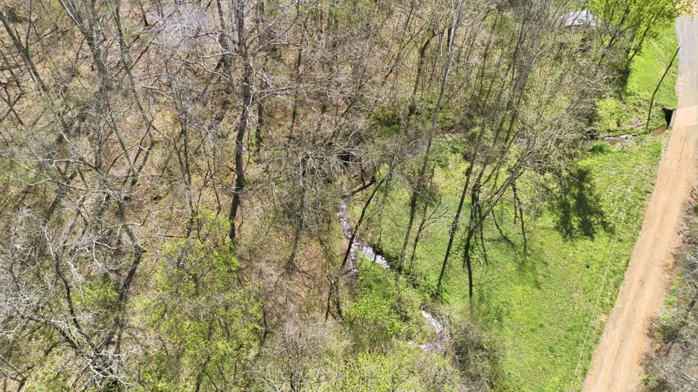 0 Opossum Hollow Rd Primm Springs, TN 38476