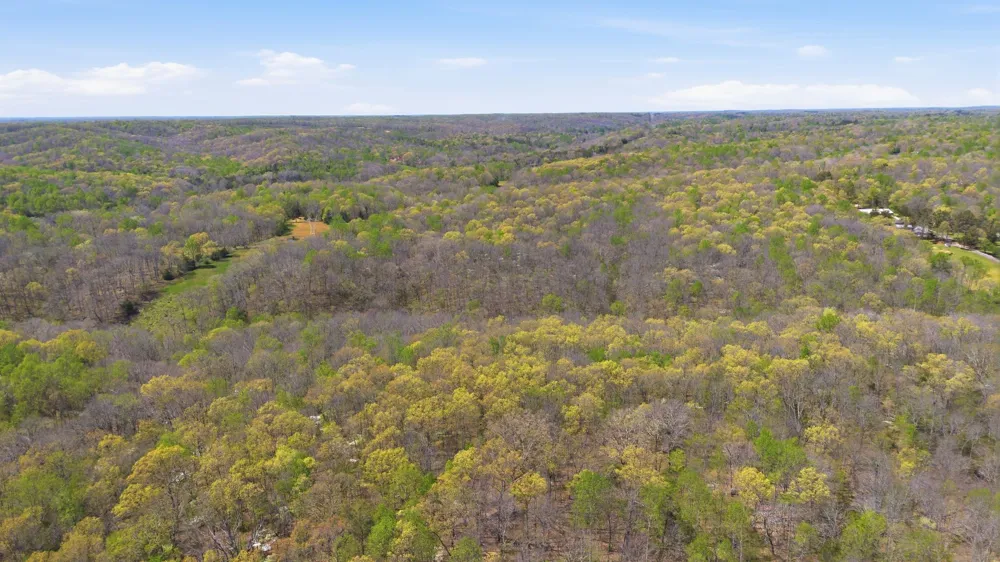 0 Opossum Hollow Rd Primm Springs, TN 38476
