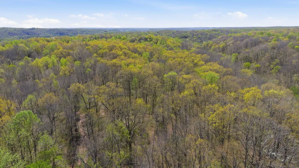 0 Opossum Hollow Rd Primm Springs, TN 38476