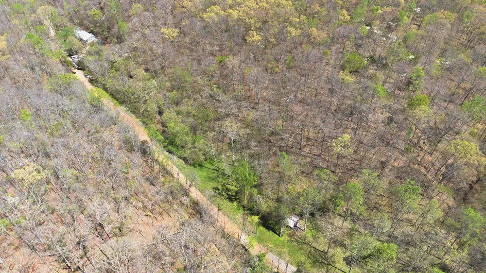 0 Opossum Hollow Rd Primm Springs, TN 38476