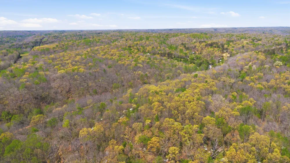 0 Opossum Hollow Rd Primm Springs, TN 38476
