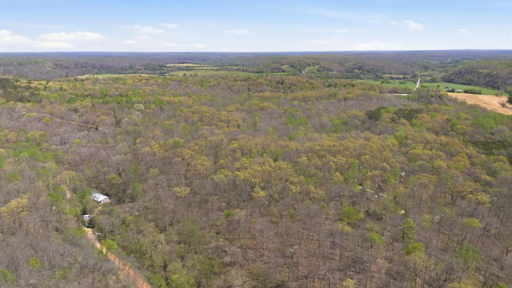 0 Opossum Hollow Rd Primm Springs, TN 38476