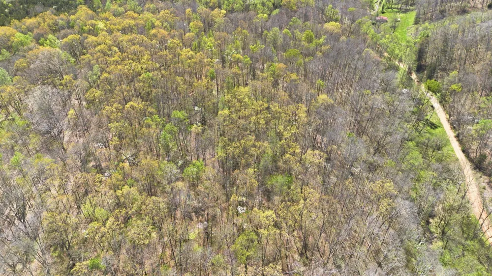 0 Opossum Hollow Rd Primm Springs, TN 38476