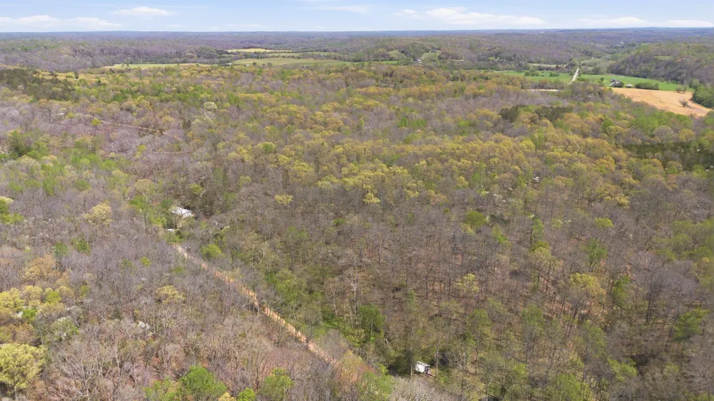 0 Opossum Hollow Rd Primm Springs, TN 38476