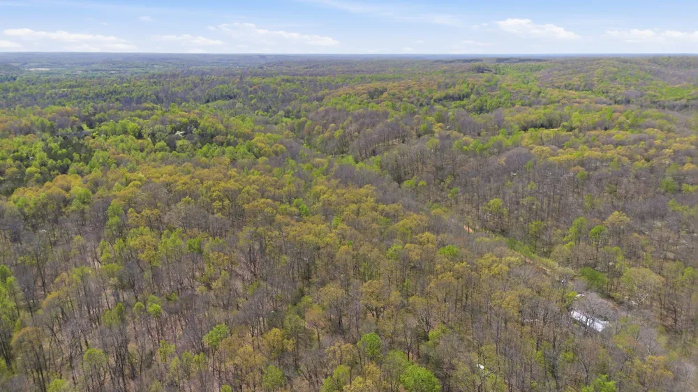 0 Opossum Hollow Rd Primm Springs, TN 38476
