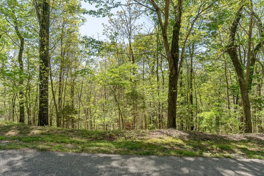 0 Coventry Way Smithville, TN 37166