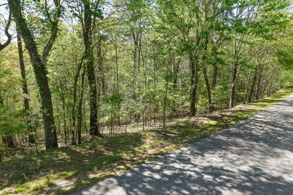 0 Coventry Way Smithville, TN 37166