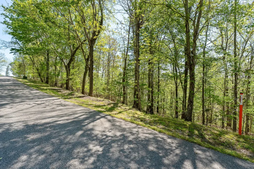 0 Coventry Way Smithville, TN 37166