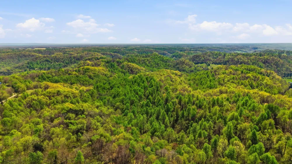 0 Green Road Beechgrove, TN 37018