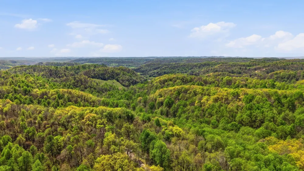 0 Green Road Beechgrove, TN 37018