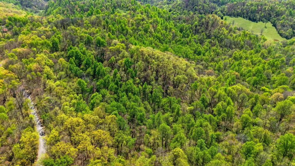 0 Green Road Beechgrove, TN 37018