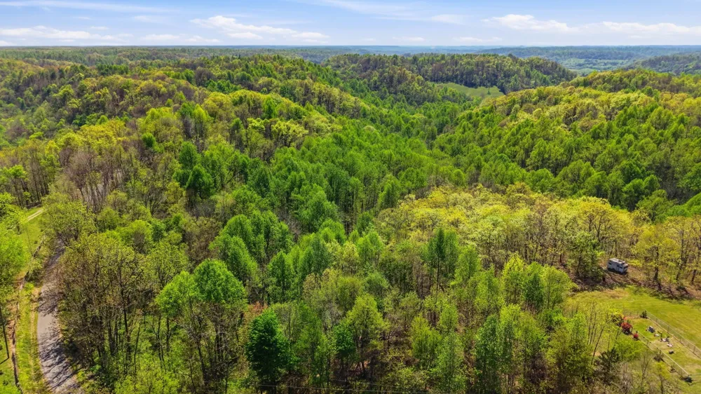 0 Green Road Beechgrove, TN 37018