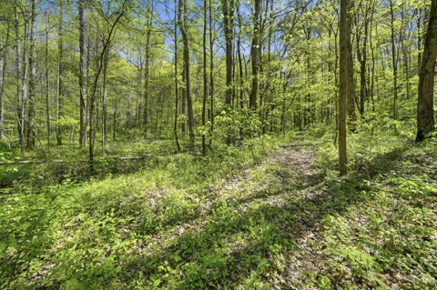 0 Green Road