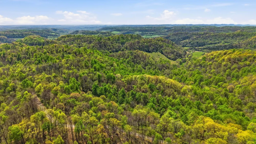 0 Green Road Beechgrove, TN 37018