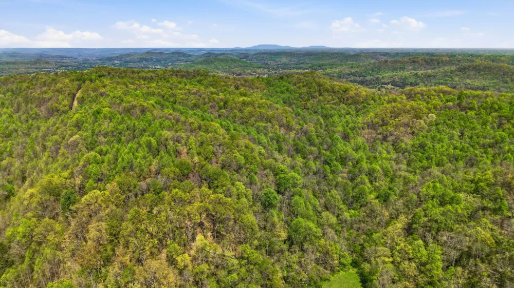 0 Green Road Beechgrove, TN 37018