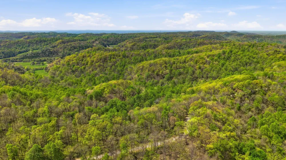 0 Green Road Beechgrove, TN 37018