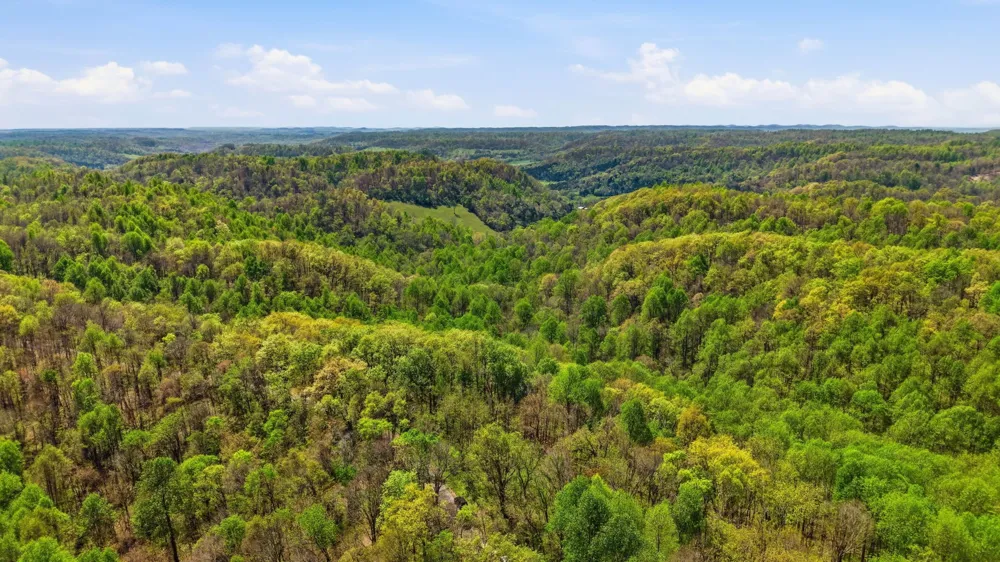 0 Green Road Beechgrove, TN 37018