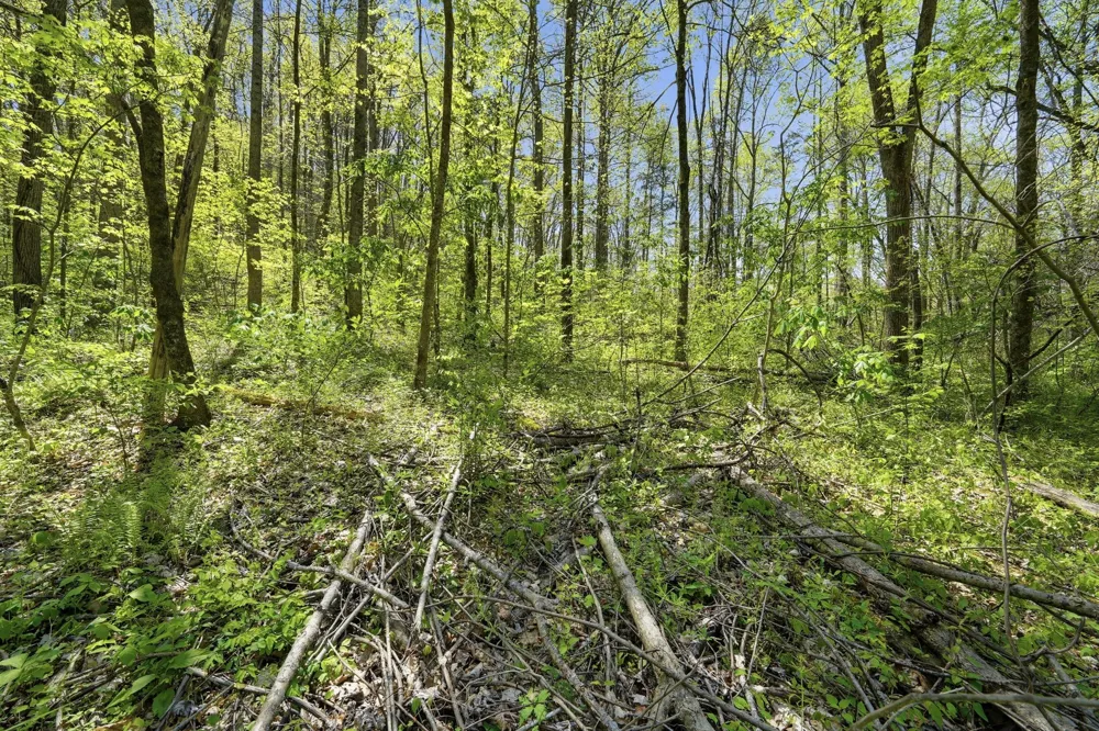 0 Green Road Beechgrove, TN 37018