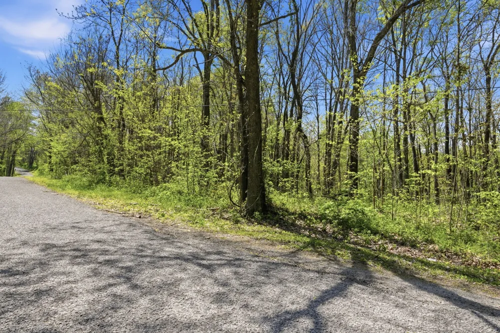 0 Green Road Beechgrove, TN 37018