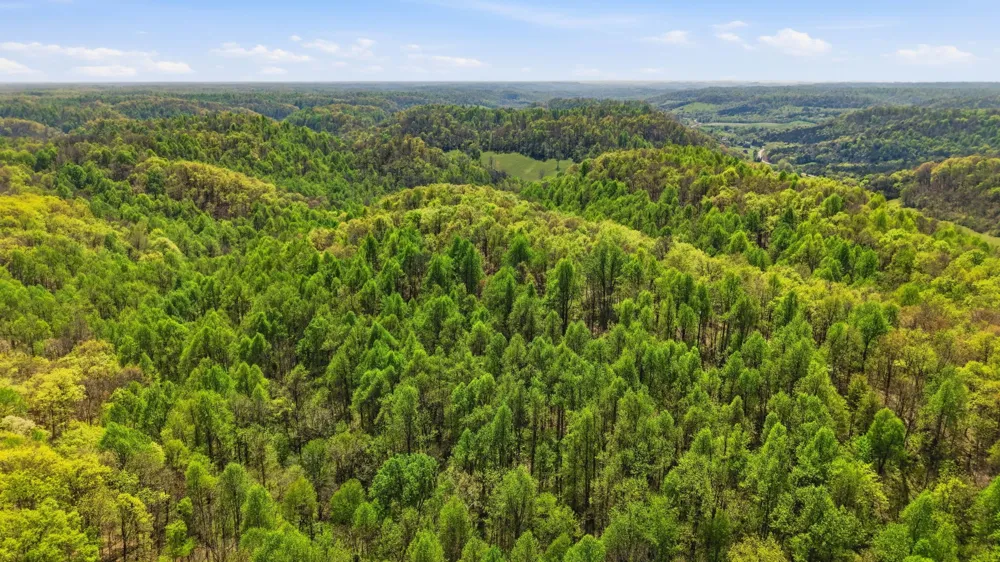 0 Green Road Beechgrove, TN 37018