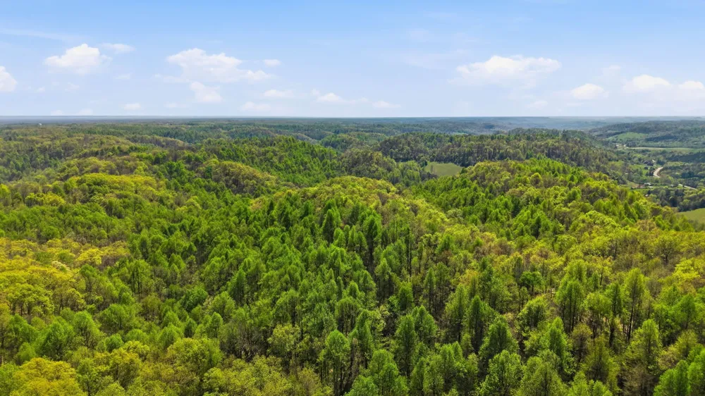 0 Green Road Beechgrove, TN 37018