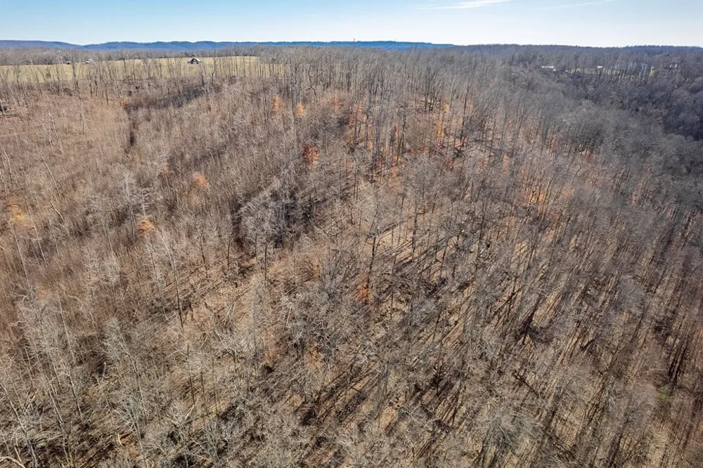 0 Plantation South Drive Cookeville, TN 38506