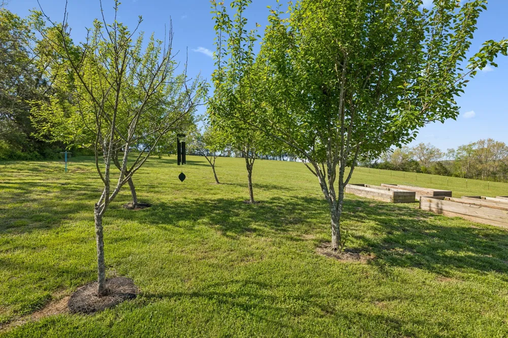 4341 Marlowe Rd Williamsport, TN 38487