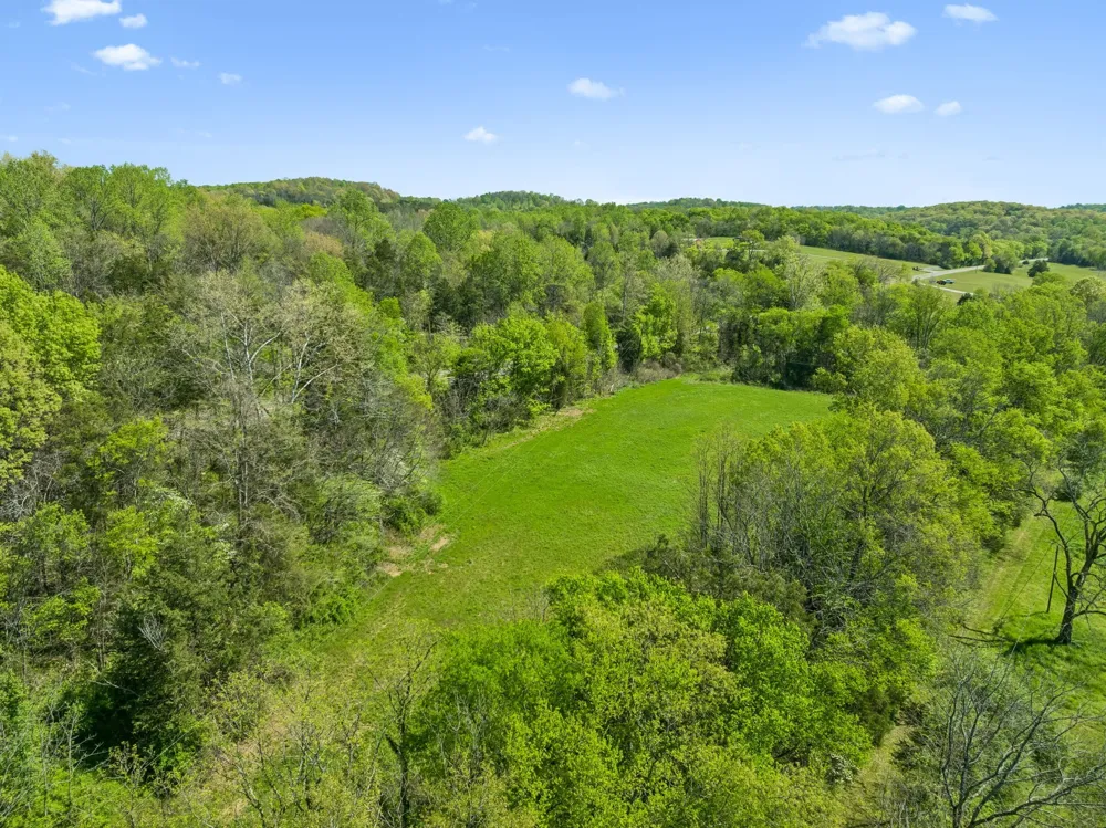 4341 Marlowe Rd Williamsport, TN 38487