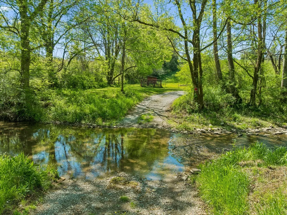 4341 Marlowe Rd Williamsport, TN 38487