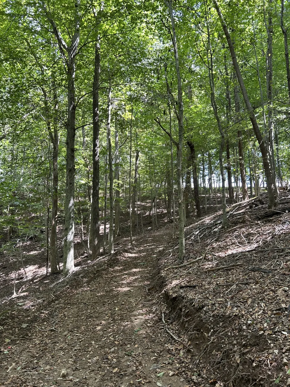 190 JD Lane Lynchburg, TN 37352