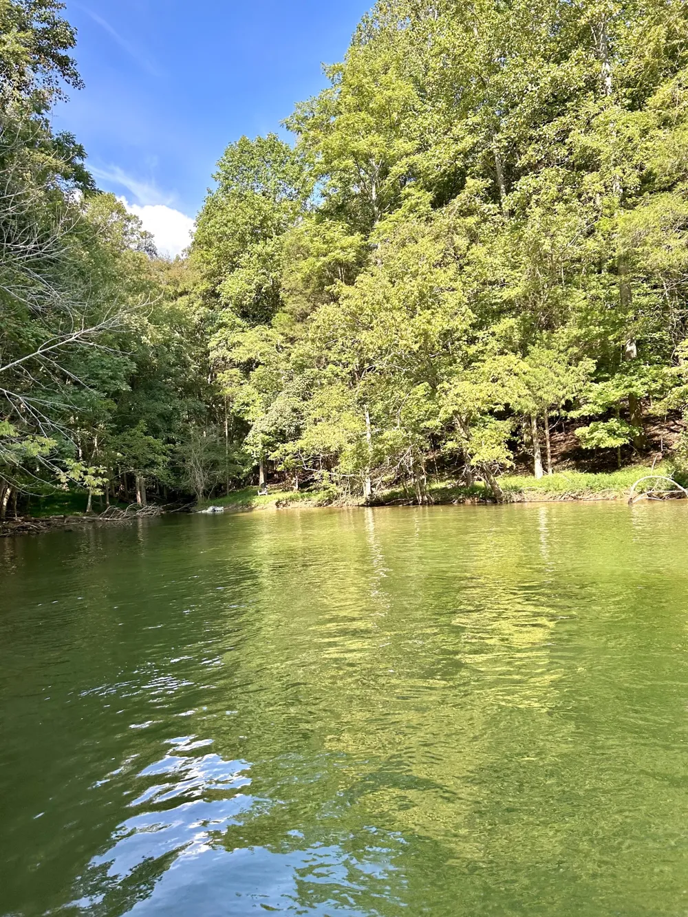 190 JD Lane Lynchburg, TN 37352