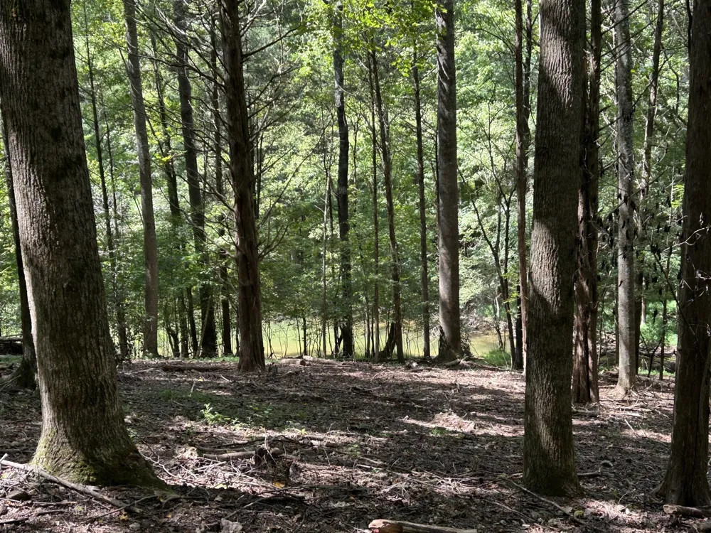 190 JD Lane Lynchburg, TN 37352