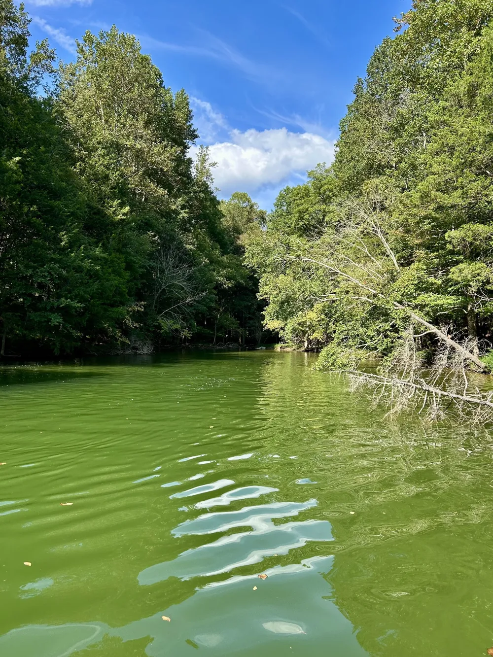 190 JD Lane Lynchburg, TN 37352